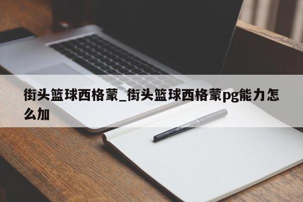 街头篮球西格蒙_街头篮球西格蒙pg能力怎么加
